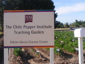 Photo courtesy of NMSU Chile Pepper Institute, 2013