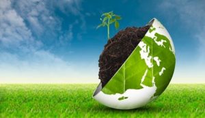 rinnovabili-greening-bioenergie-biocarburanti-biomasse-ambiente-sostenibilita-by-angelo19-fotolia-3888x2592-e1458821851299.jpg
