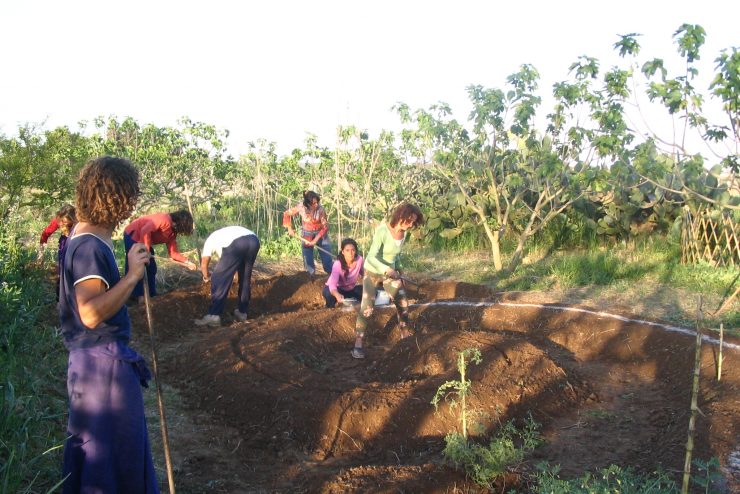 agric giovani