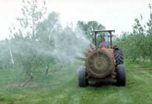 insetticidi-pesticidi
