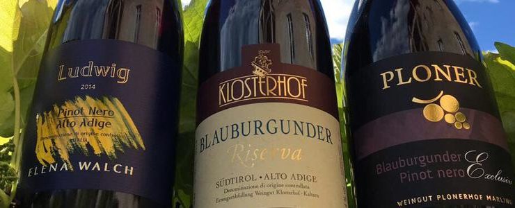 wein-news-bbsieger