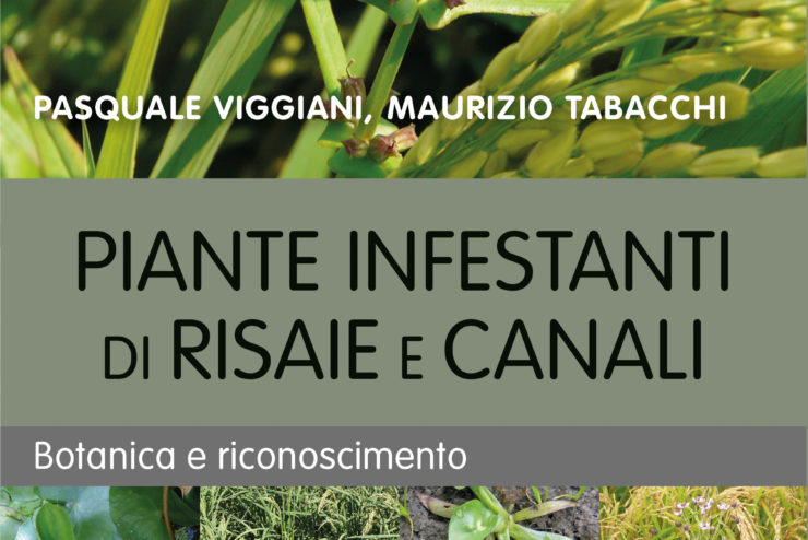5523_VIGGIANI_14_06_2017.indd