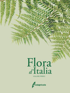 5242 Flora d'Italia vol. 1-copertina alta risoluzione