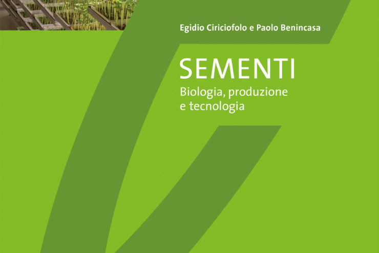 5532 SEMENTI_DORSO_BIS