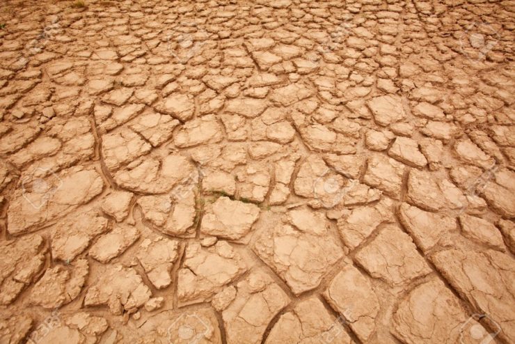desertificazione
