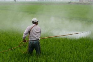 glifosate_pesticidi_agricultura_IT_1