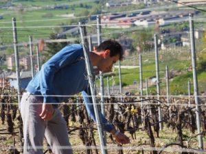 Il viticoltore Edoardo Braga