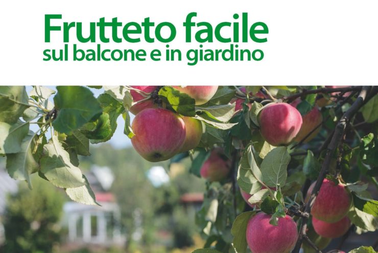 frutteto