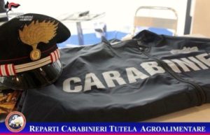 carabinieri_agroalimentare