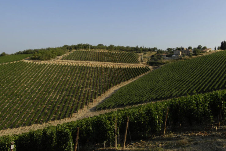montebuoni3