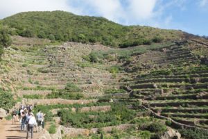 terrazzamenti_pantelleria