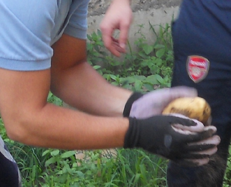 Orto condiviso: il progetto nel carcere di Benevento dimostra che l’agricoltura produce anche benessere