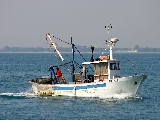 PSR e FEP, evitato disimpegno fondi Ue per agricoltura e pesca