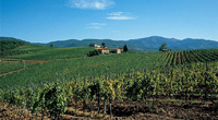 Da Bayer CropScience messaggio di fiducia e ottimismo all’agricoltura italiana