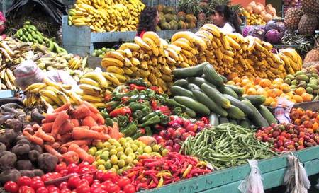 Livorno, 150° dell’Unità d’Italia con il Mercato degli Agricoltori
