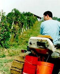 In Toscana via alla Banca della Terra per favorire il ricambio generazionale