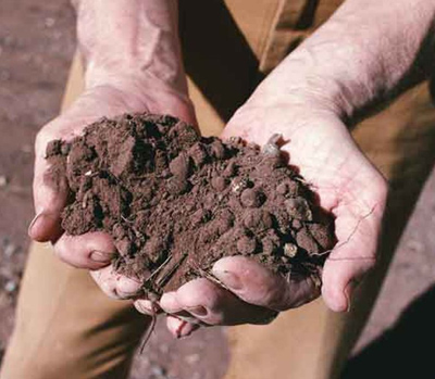 Un miliardo di euro per salvare dal crack 250mila imprese agricole