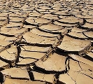 Puglia chiama Mipaaf risponde. E nel giro di un’ora è riconosciuta la ‘siccità’ 2012