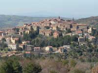 Cortometraggi sull’olio d’oliva a Seggiano (Gr)