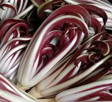 Radicchio rosso e Mozzarella di bufala, sapori insieme il 24 marzo a Mirano (Ve)