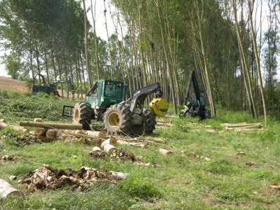 Selvicoltura pistoiese a rischio paralisi, l’appello della Cia Toscana