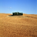 Il Sapore della Val d’Orcia, a Pienza sabato 1 dicembre