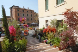 E’ primavera a Torrita di Siena con la Fiera del Fiore e del Coccio