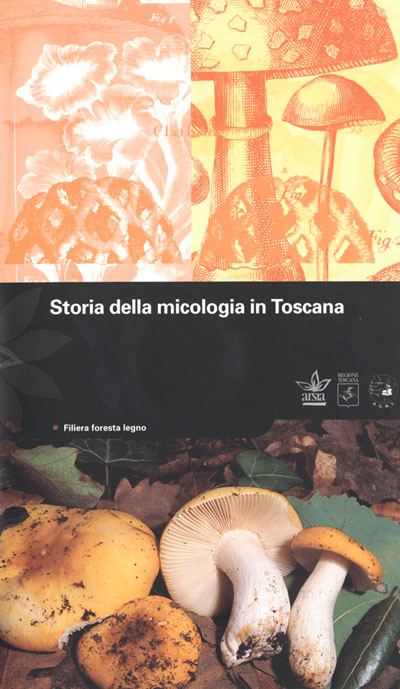 Il sottobosco toscano non ha più segreti