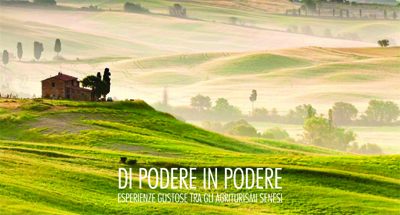 DI PODERE IN PODERE – Esperienze gustose tra gli agriturismi senesi