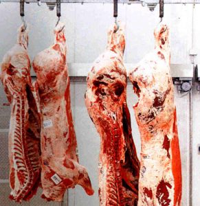 Carne1.jpg