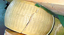 Parmigiano Reggiano, seimila volontari trentini per liberare i magazzini terremotati