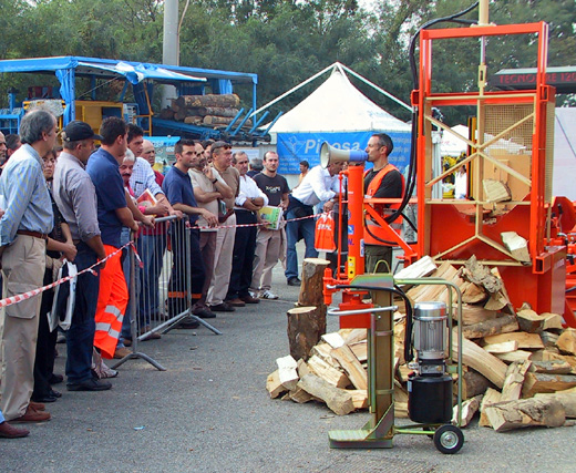 Pefc Italia e Stihl a Forlener 2009