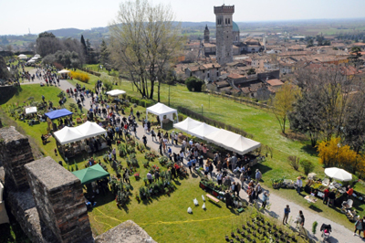 Fiori nella Rocca, ad aprile a Lonato del Garda (Bs) la mostra mercato delle piante rare