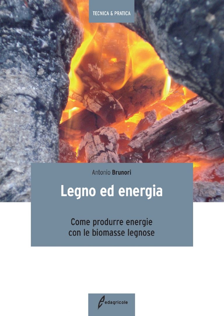 “Legno ed energia”. Scoprire come produrre energie con biomasse