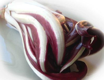 Novità in arrivo per il radicchio rosso di Treviso e del variegato di Castelfranco