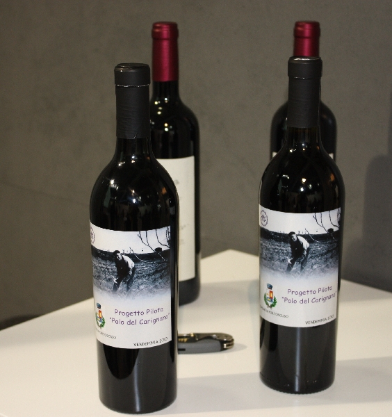 A Verona anteprima del Progetto pilota Polo del Carignano