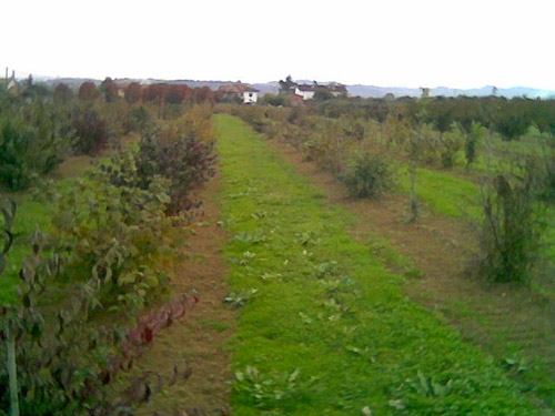 Bandiera Verde 2008, la Cia premia l’impegno per l’ambiente