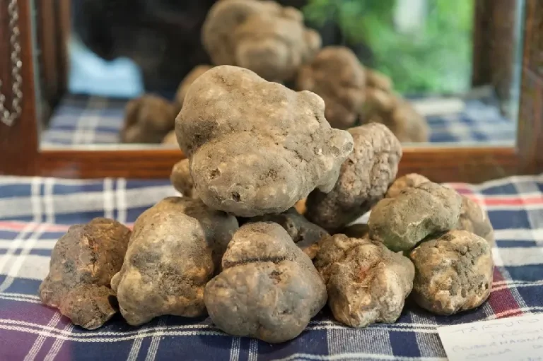 Locale è meglio! A Gubbio il 9 e 10 agosto la rassegna sui sapori