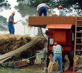 Innovazione per l’Agricoltura Familiare. Crea partecipa al Simposio FAO, 21-23 novembre