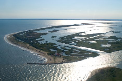 Il Parco del Delta del Po diventa unico