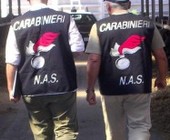 Prodotti alimentari scaduti e in cattivo stato. Sequestrate 7 tonnellate da Nac e Nas