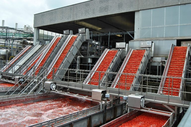 Pomodoro da industria. Iniziare presto contrattazione per nuova campagna