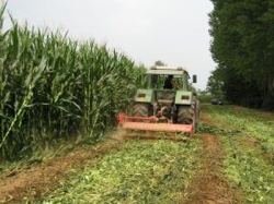 Appello della Cia, “Situazione drammatica per l’agricoltura toscana”