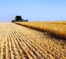 Pac. Agricoltori preoccupati per una possibile ri-nazionalizzazione