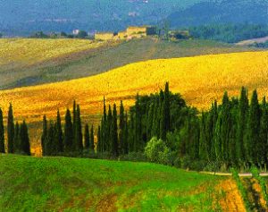 Paesaggio.jpg