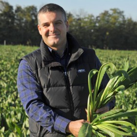 Radicchio di Treviso Igp, 5 eventi per promuovere la qualità