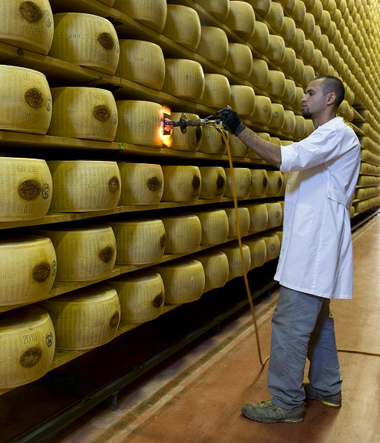 Export agroalimentare. Nei primi cinque mesi del 2018, l’Italia corre più dei competitor (+3,5% sul 2017)