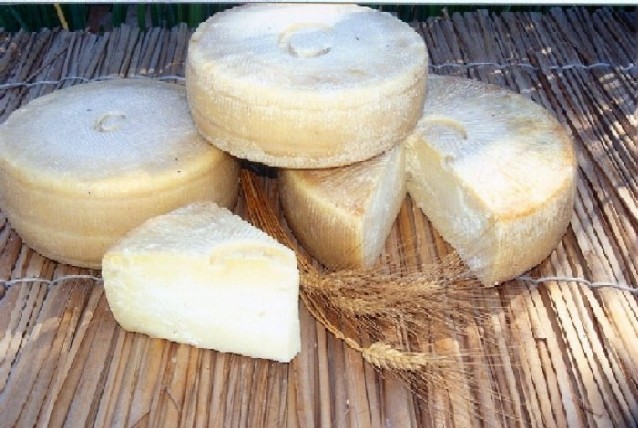Latte ovi-caprino. La Toscana stanzia 3 milioni di euro: 2,3 per gli agricoltori e 700 per la promozione