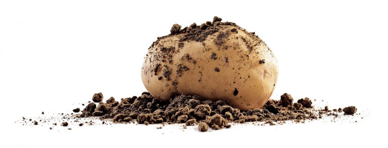 Selenella. Nuova tecnologia di arricchimento su patate e altri ortaggi