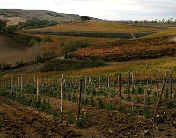 Zonazione in provincia di Siena. Domani i risultati